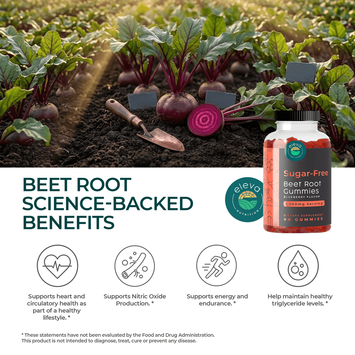 Sugar-Free Beet Root Gummies