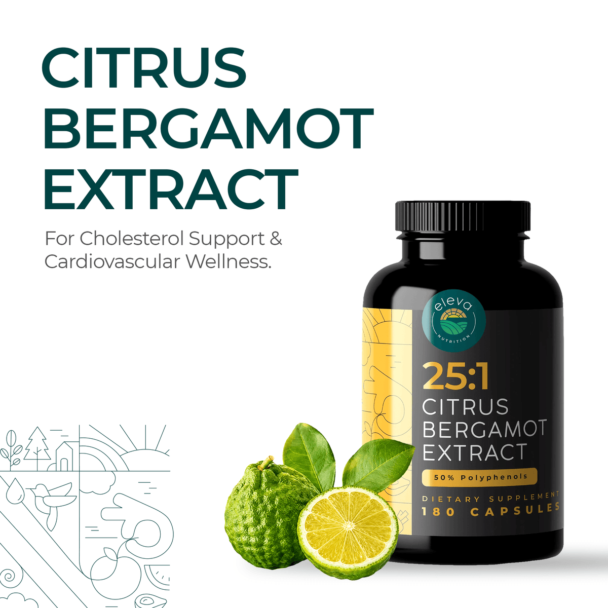 Citrus Bergamot Extract Capsules