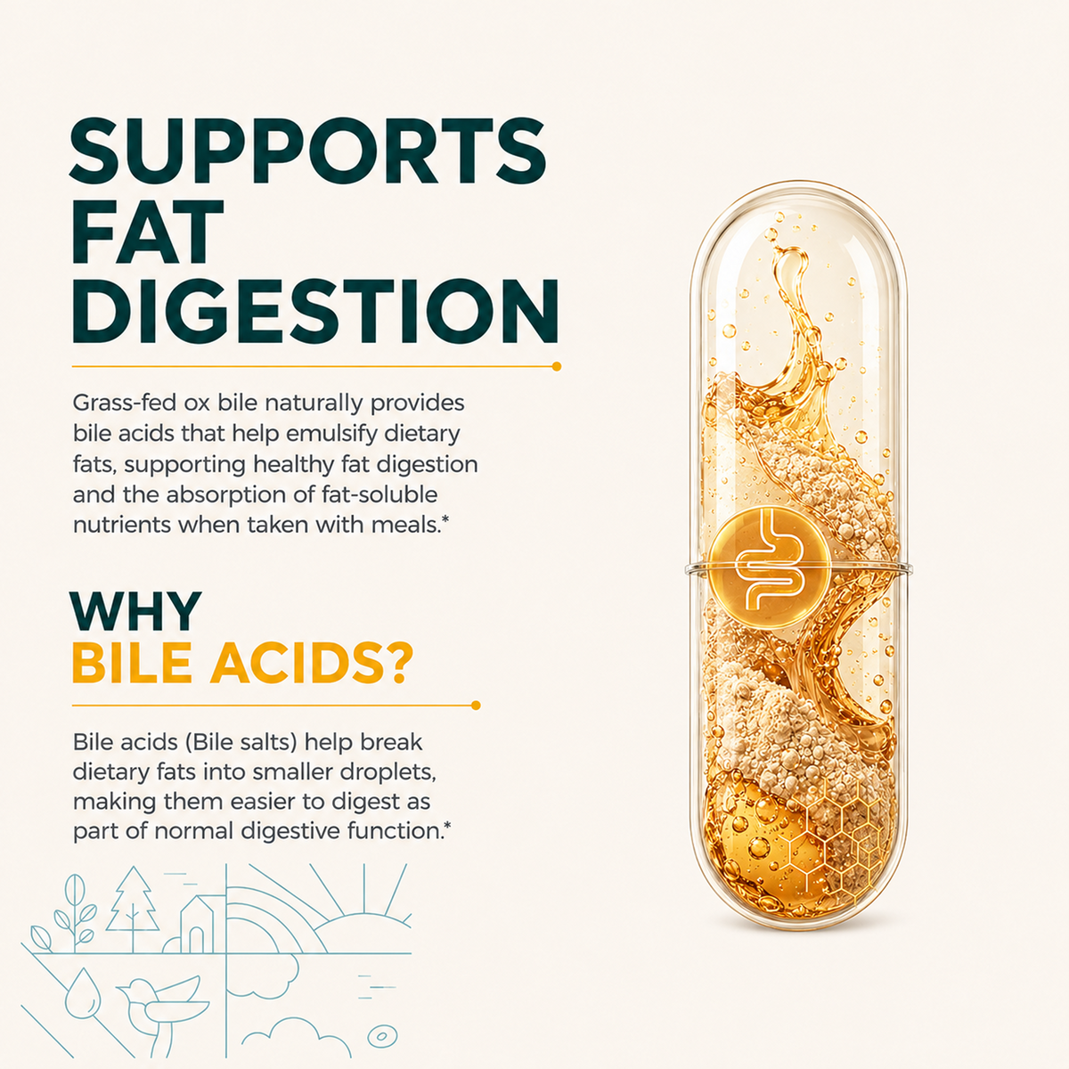 Grass-fed Ox Bile Extract 1000 mg