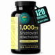 ORGANIC SHATAVARI 1,000mg