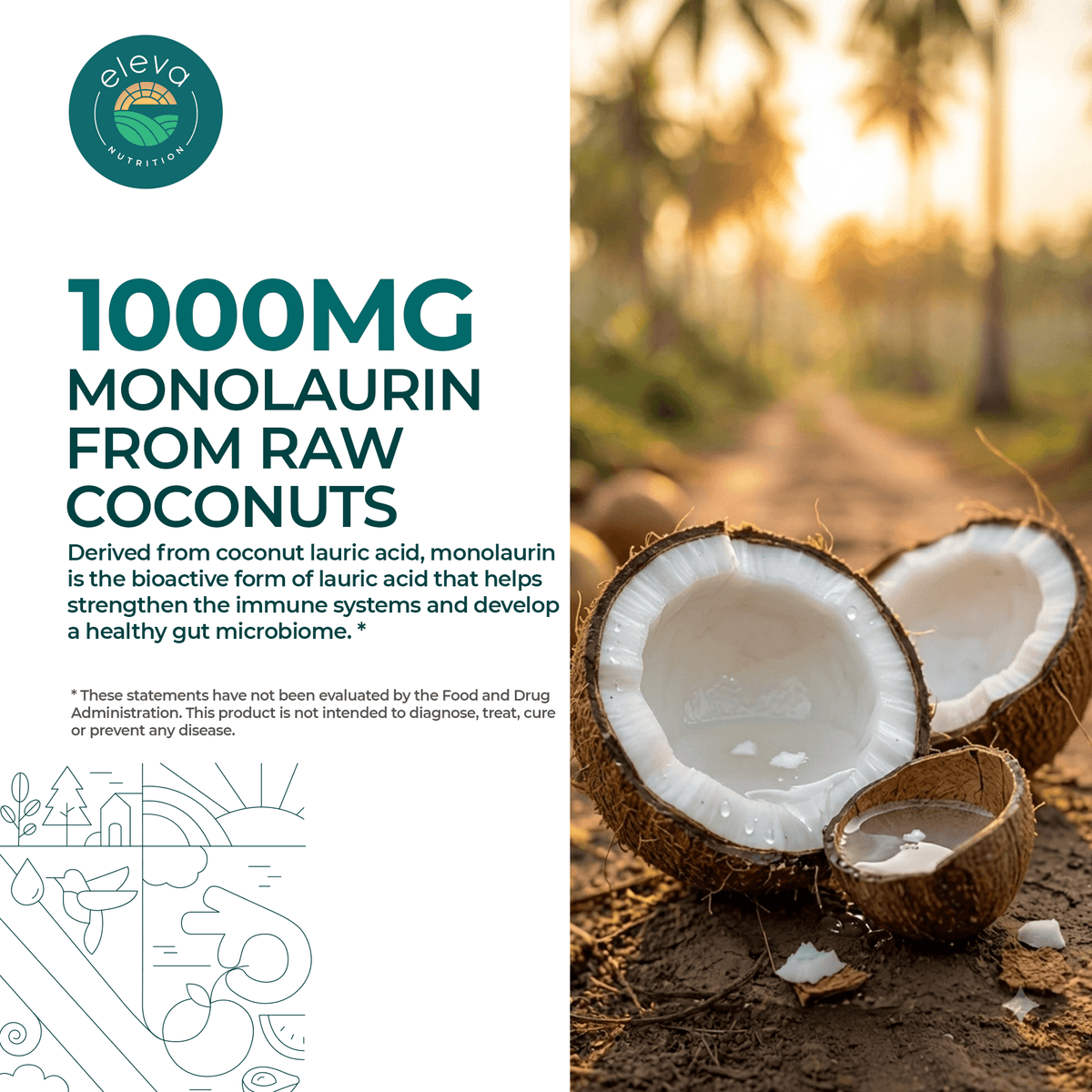 Monolaurin Capsules