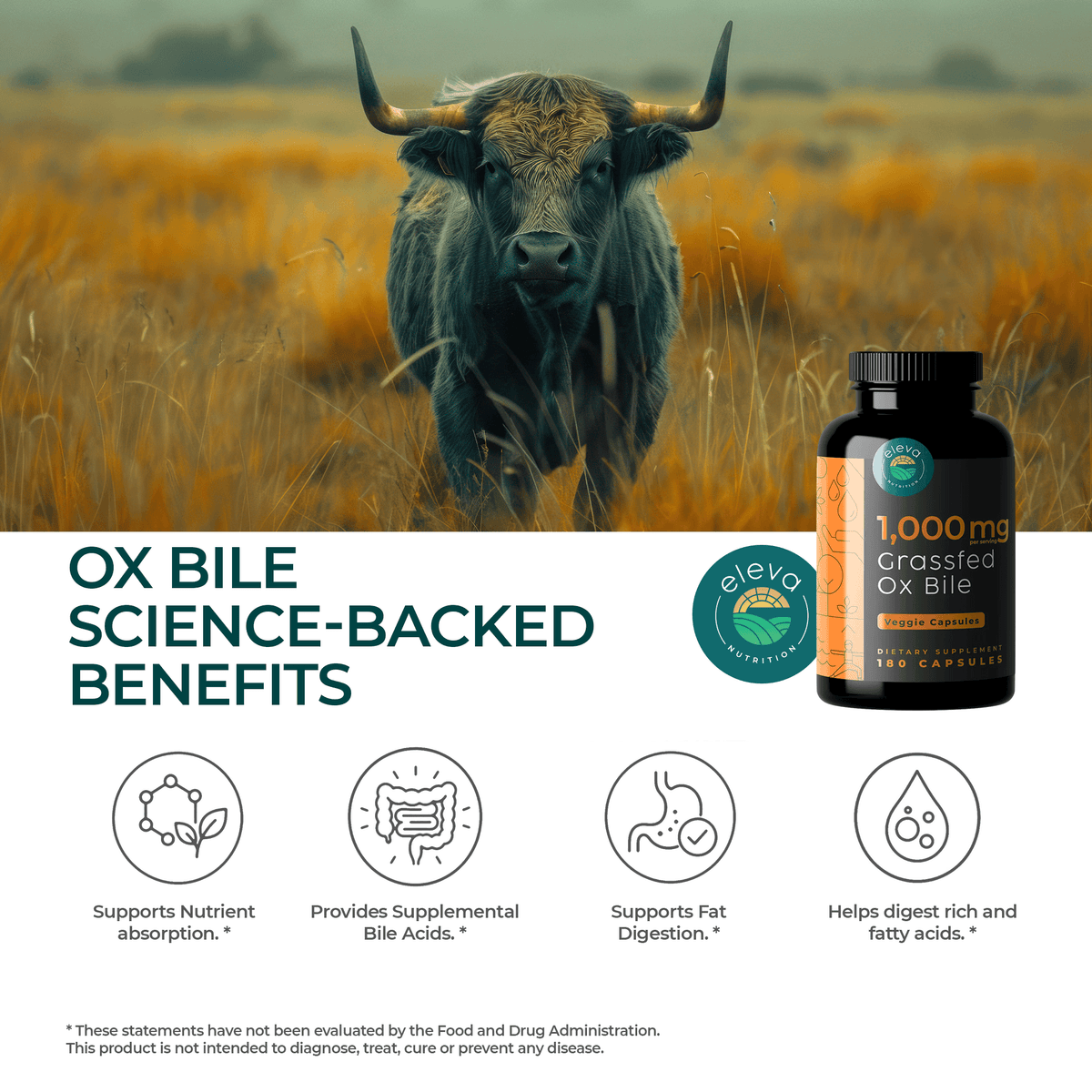 Ox Bile Extract